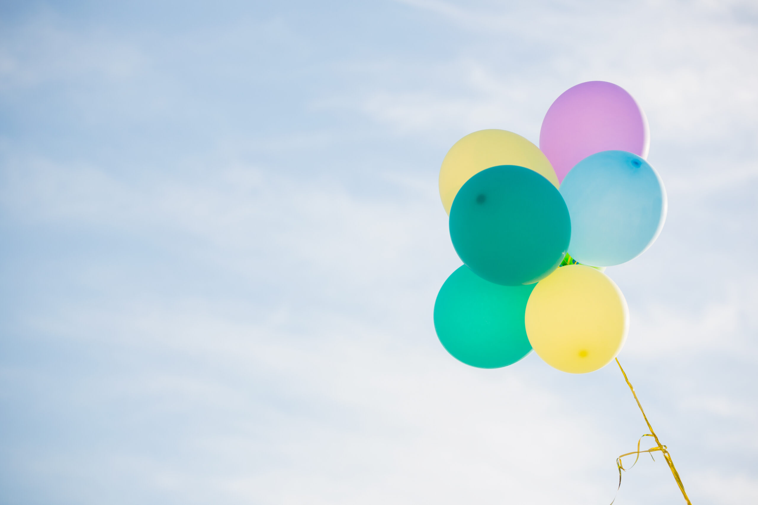 Read more about the article Lorem ipsum