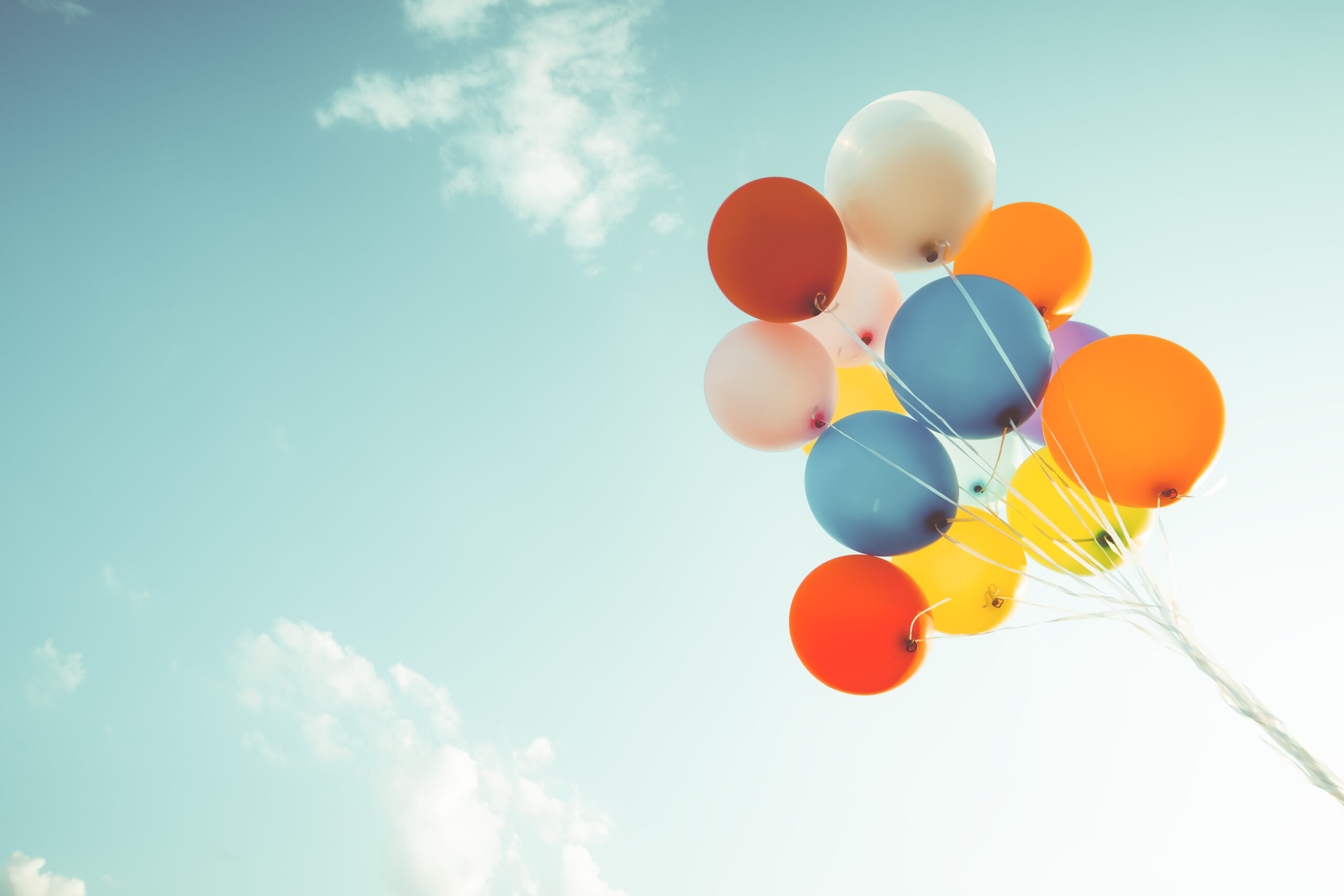 Read more about the article Lorem ipsum